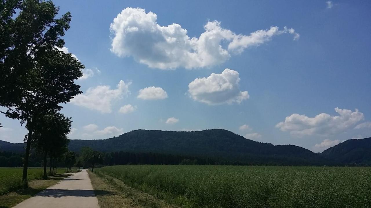 Urlaubsdomizil Am Toepfer - Ferienwohnungen In Olbersdorf Exterior photo