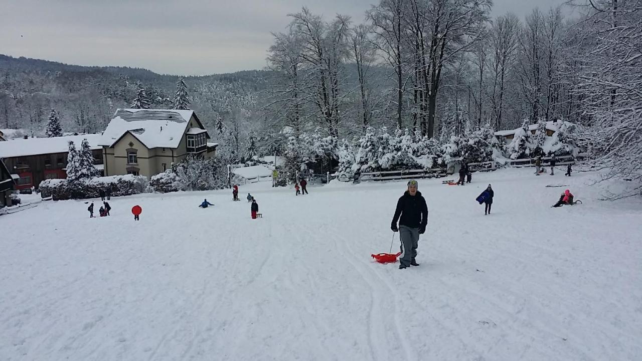 Urlaubsdomizil Am Toepfer - Ferienwohnungen In Olbersdorf Exterior photo